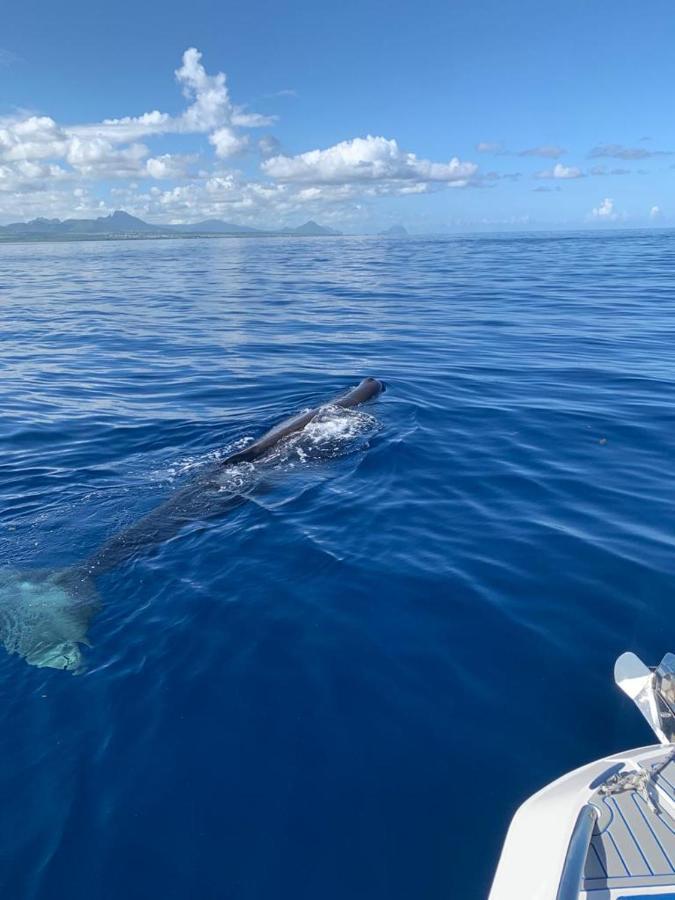 Residence Au Bout Du Morne Le Morne Zewnętrze zdjęcie